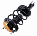 Strut Armado con Resorte Delantero Izquierdo GSP 30304752