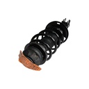Strut Armado con Resorte Delantero Derecho GSP 30304811