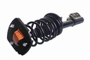 Strut Armado con Resorte Trasero Izquierdo GSP 30304952