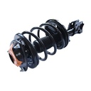 Strut Armado con Resorte Delantero Izquierdo GSP 30304982