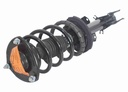 Strut Armado con Resorte Delantero GSP 30305020