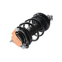 Strut Armado con Resorte Delantero Izquierdo GSP 30305132