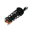 Strut Armado con Resorte Trasero Izquierdo GSP 30305432