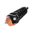Strut Armado con Resorte Trasero GSP 30305490