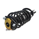 Strut Armado con Resorte Delantero Derecho GSP 30305901