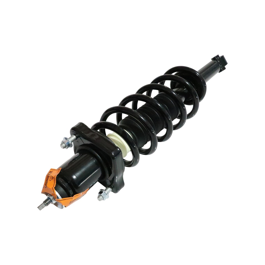 30305920 — Strut Armado con Resorte Trasero GSP 30305920