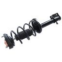 Strut Armado con Resorte Trasero Derecho GSP 30305991