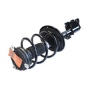 Strut Armado con Resorte Delantero Derecho GSP 30306081