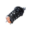 Strut Armado con Resorte Trasero Derecho GSP 30306141