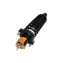 Strut Armado con Resorte Trasero GSP 30306300