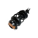 Strut Armado con Resorte Delantero Derecho GSP 30306351