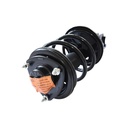 Strut Armado con Resorte Delantero Izquierdo GSP 30306362
