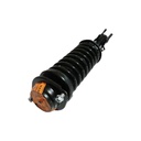 Strut Armado con Resorte Delantero Derecho GSP 30306431
