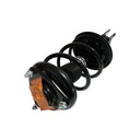 Strut Armado con Resorte Delantero GSP 30306440