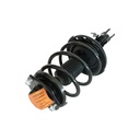 Strut Armado con Resorte Delantero Derecho GSP 30306561