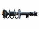 Strut Armado con Resorte Delantero Izquierdo GSP 30306612