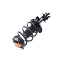 Strut Armado con Resorte Delantero Izquierdo GSP 30306652