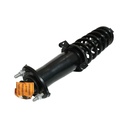 Strut Armado con Resorte Trasero GSP 30306830