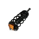 Strut Armado con Resorte Trasero GSP 30306840