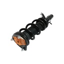 Strut Armado con Resorte Delantero Derecho GSP 30306861