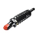 Strut Armado con Resorte Trasero GSP 30306900