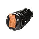 Strut Armado con Resorte Delantero Derecho GSP 30306941