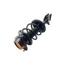 Strut Armado con Resorte Delantero Derecho GSP 30306981