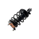 Strut Armado con Resorte Delantero Derecho GSP 30307071