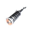 Strut Armado con Resorte Delantero Derecho GSP 30307141