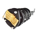 Strut Armado con Resorte Delantero Derecho GSP 30307281