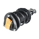 Strut Armado con Resorte Delantero Derecho GSP 30307331