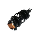 Strut Armado con Resorte Delantero Izquierdo GSP 30307352