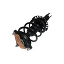 Strut Armado con Resorte Delantero Derecho GSP 30307381