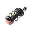 Strut Armado con Resorte Delantero Derecho GSP 30307401