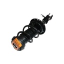 Strut Armado con Resorte Delantero Derecho GSP 30307611