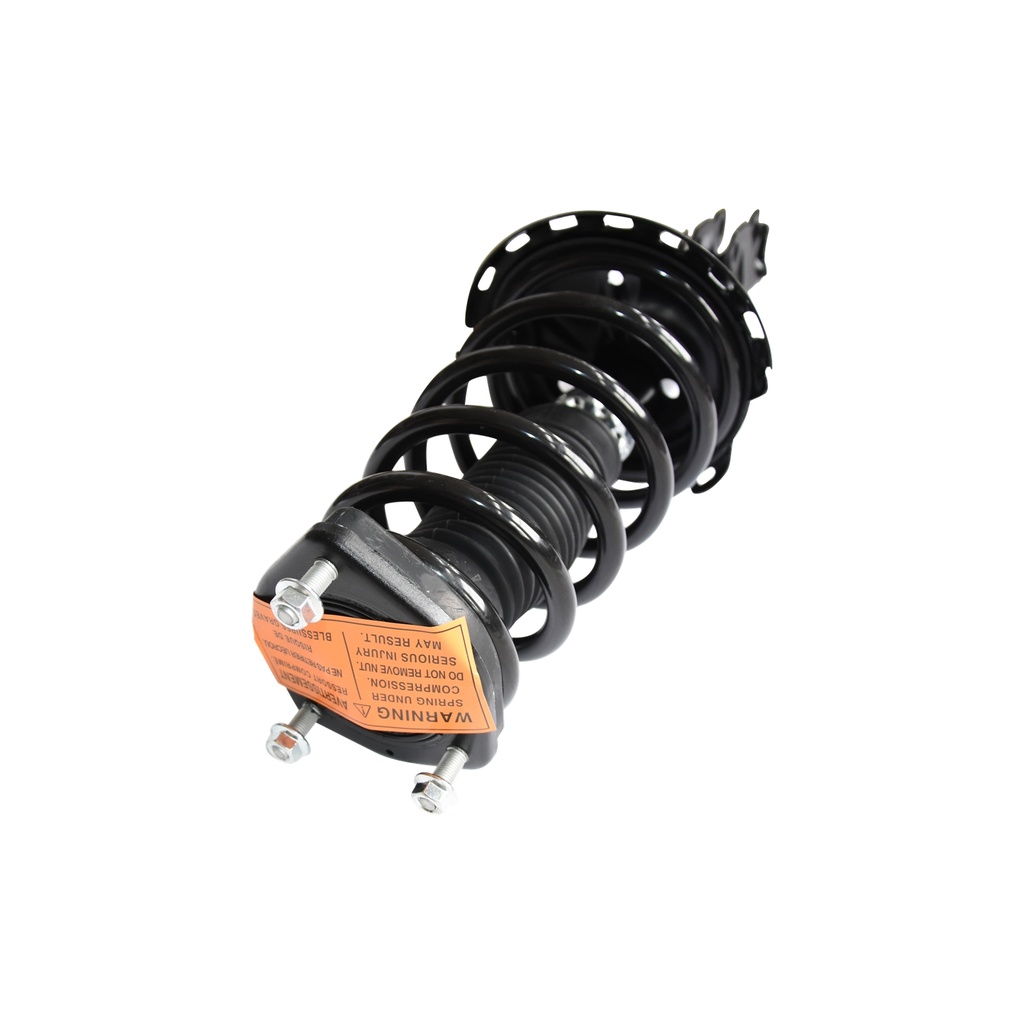 30307841 — Strut Armado con Resorte Trasero Derecho GSP 30307841