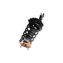 Strut Armado con Resorte Trasero Izquierdo GSP 30307842