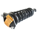Strut Armado con Resorte Trasero GSP 30307870