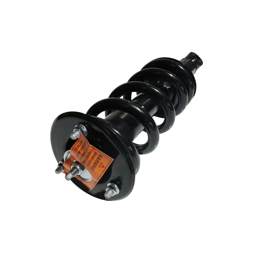 30307960 — Strut Armado con Resorte Delantero GSP 30307960