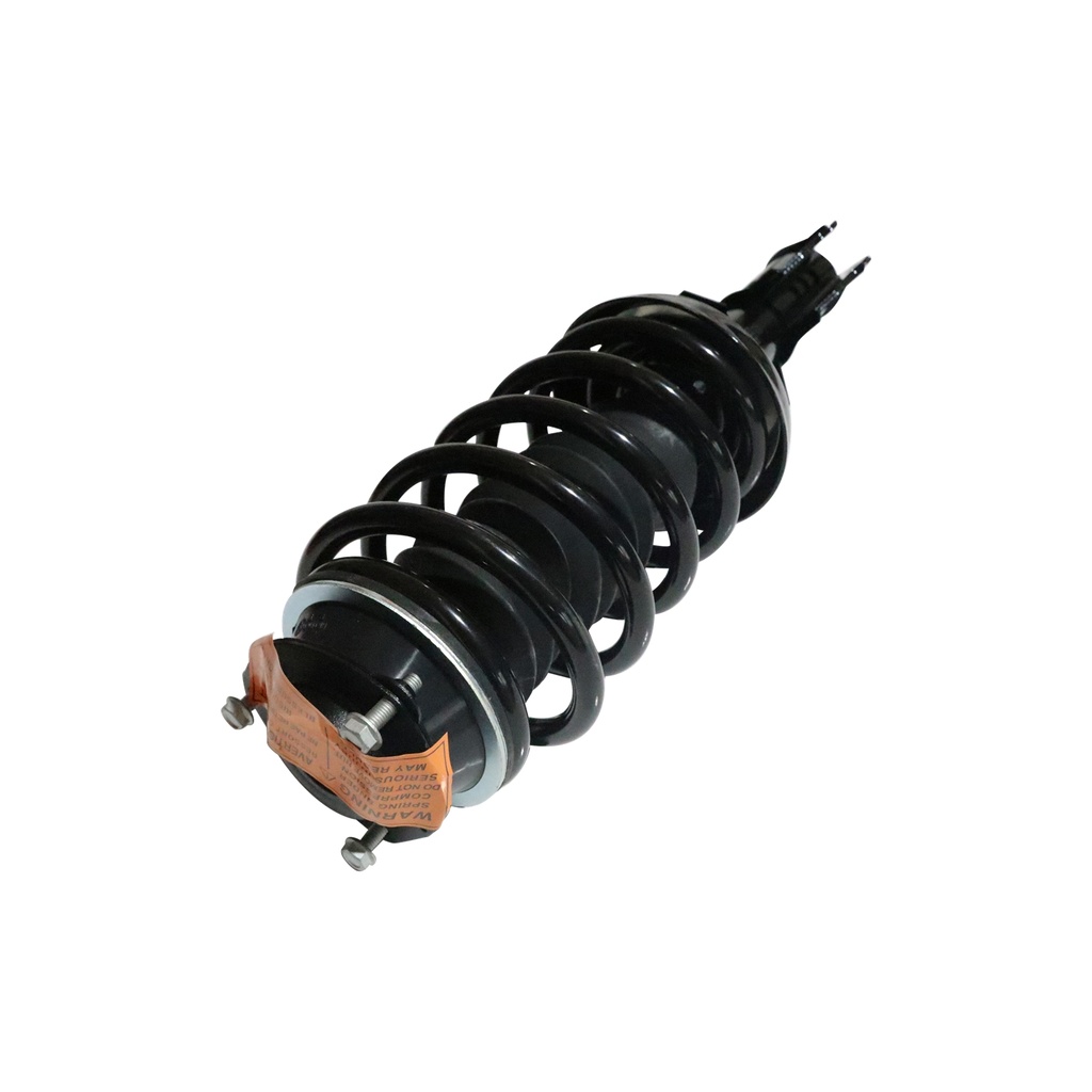 30307970 — Strut Armado con Resorte Delantero GSP 30307970