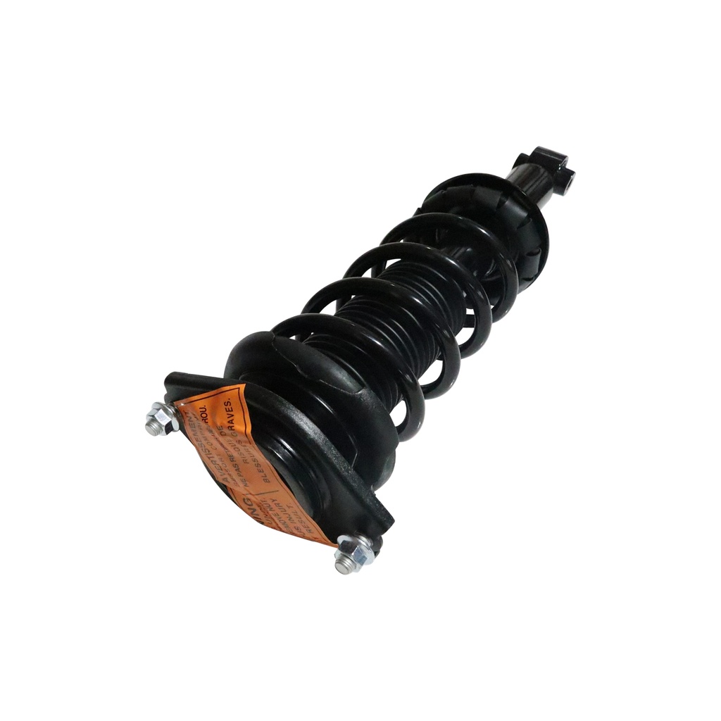 30307980 — Strut Armado con Resorte Trasero GSP 30307980