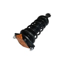 Strut Armado con Resorte Trasero GSP 30307980