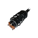 Strut Armado con Resorte Delantero GSP 30308080