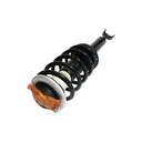 Strut Armado con Resorte Delantero Izquierdo GSP 30308192