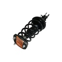Strut Armado con Resorte Trasero Derecho GSP 30308211