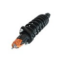Strut Armado con Resorte Trasero Derecho GSP 30308241