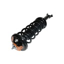Strut Armado con Resorte Trasero Derecho GSP 30308261