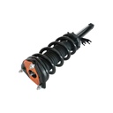 Strut Armado con Resorte Delantero Izquierdo GSP 30308292