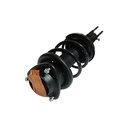 Strut Armado con Resorte Delantero Izquierdo GSP 30308382