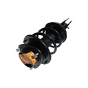 Strut Armado con Resorte Delantero Izquierdo GSP 30308402